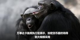 数字货币:万事达卡首席执行官表示，加密货币最终将得到大规模采用_加密货币市场还有未来吗现在