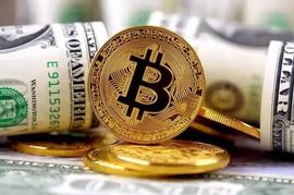 SHIB:FTX暴雷后大量比特币从交易所流出，长期持有者的持有量明显下滑_NODE