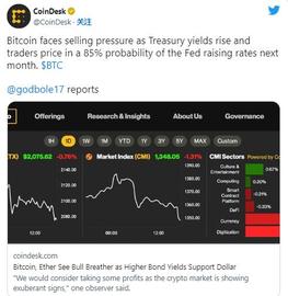 POOL:山寨币很快就会爆发，这些币将成为最大的加密货币赢家！_TPO币