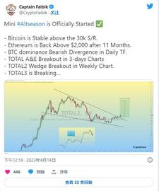 FOR:迷你 Altseason 已经开始；本季要考虑的顶级山寨币！_counterparty
