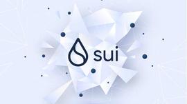 NOV:Sui是Aptos的头号劲敌吗？_Liberta Financial
