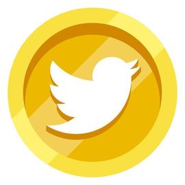 DOGE:再见比特币、狗狗币！马斯克新宠现身Twitter Coin即将推出？_USD