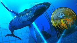 ENT:根据 Santiment 的说法，BTC 鲸鱼会影响 BTC 的价格_SAN