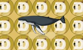 DOGE:休眠的狗狗币钱包在 9 年后转移了 237 万 DOGE_DOGE