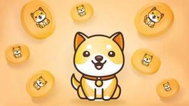 DOGE:Baby Doge Coin 在 7 天内攀升 120%：2 月份能涨多高？_BABYDOGEKING