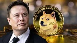 TWI:震惊！Elon Musk 最喜欢的狗狗币 (DOGE) 价格在数小时内飙升 10%_Mirrored Twitter