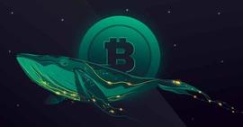 加密货币:神秘的比特币鲸鱼在休眠了十多年后移动了 412 $BTC_BTC