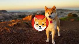 SHIB:Shiba Inu：Shibarium“以强大的力量”前进_BSHIBA