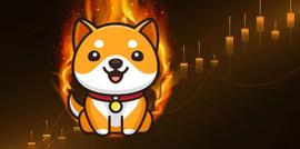 YDOGE:BabyDoge 将在 2 天内大规模烧伤_BABYDOGE