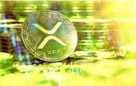 MIT:“未来，10 个 XRP 将等于 1000 万美元，”E.Smitty 说_PolkaSmith