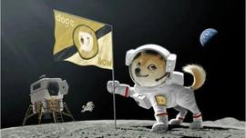 USD:DOGE 拒绝上涨 0.145 美元，进一步下跌来袭？_狗狗币最新热议