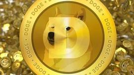 TWI:（DOGE）随着伊隆·马斯克透露“以狗为主题”的CEO，这些指标飙升_Twinci