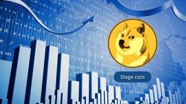DOGE:狗狗币：投资者预测 2023 年 2 月 28 日的狗狗币价格_COIN