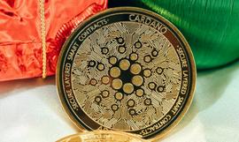 ACK:Cardano ($ADA)：EMURGO 的风险投资部门为何投资 DoraHacks_MURPHYCAT