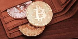 比特币:如何将比特币、以太坊和其他加密货币转移到自我托管_USD