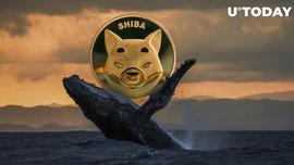 MEM:鲸鱼持有 2 个月后卖出 2.8 万亿 SHIB，这就是触发销售的原因_SHINO