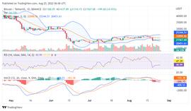 BTC:随着主导地位下降，比特币略微看涨_MINIBTC