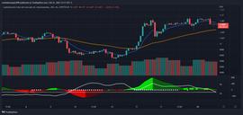 BUSD:Paxos 与美国证券交易委员会谈判，币安合作伙伴关系结束？_USD