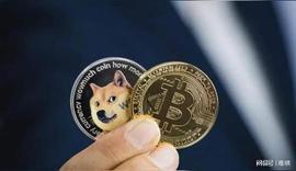 DOGE:「崛起社区」狗狗币价格预测：DOGE 将在 1 月份上涨 25%？_DOG