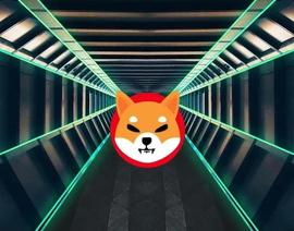 INU:Shiba Inu 代币可能在 2023 年初达到 0.00001 美元的 3 个原因_QUEENSHIBA价格