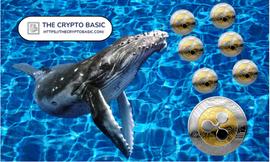 CRYPT:XRP 成为鲸鱼的最爱，因为 8 月份报告的 XRP 交易价值数十亿美元_ASI