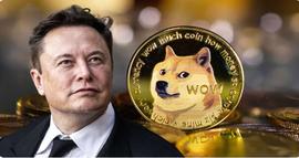 TTE:狗狗币死了吗？埃隆马斯克的这一举动会给DOGE Price带来生命吗？_Twinkle