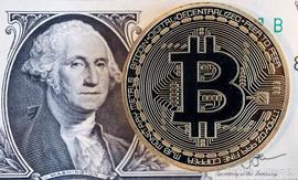 BTC:在币圈待久了，都有这些特征，看看你中招了吗？_区块链
