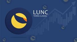 SHIB:Terra LUNC价格在 12 月的最后几周看到2022年的负面背景有所缓和_MEMEDOGE币
