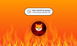SHIB:神秘钱包烧毁1.16亿柴犬，24小时销毁1.32亿柴犬_SHIBA