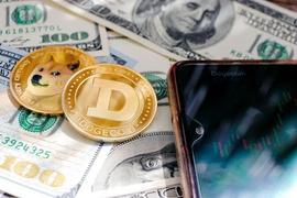 莱特币:超过 350 名DOGE制造的百万富翁在数周内因模因硬币的挣扎而消失_BOLD