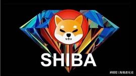 SHIB:柴犬 (SHIB) 会在 2023 年继续贬值吗？_SHI