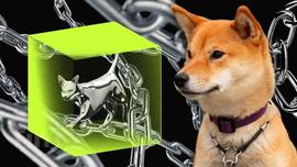 SHIBAI:Shiba Inu 期货市场状况给 SHIB 价格带来麻烦_SHIBARMY价格