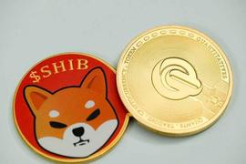 BTC:柴犬SHIB复苏困难重重 投资人何去何从_COIN