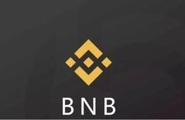 BNB:BNB 在这方面超越了 ETH，但 Binance Coin 投资者真的可以高兴吗_TVL