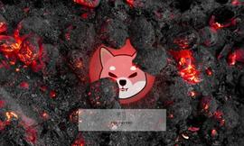 EFI:主要钱包烧毁 2400 万柴犬SHIB，烧毁率上升 642%_Decentralized Tower Defense