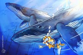 ARK:数据显示比特币（BTC）价格未触底，鲸鱼订单触及 2 年低点_比特币行情最新价格美元miu