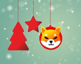 ARI:柴犬（SHIB）在过去的 12 月表现如何？_BABYSHIBA