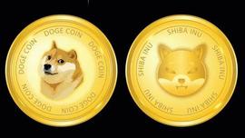 CPI:狗狗币DOGE和柴犬SHIB暴跌，原因如下_SPUNK Vault (NFTX)