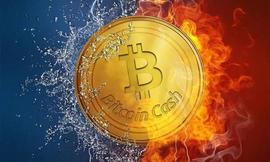 DOGE:比特币BTC每周预测：逆转迹象促使比特币持有者谨慎行事_MINIDOGEPRO