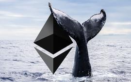 以太坊:鲸鱼抛售 40 亿美元 ETH 以太坊价格下跌四分之一_比特币以太坊最新消息分析