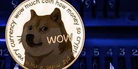 DOGE:Dogecoin：在Elon Musk发射太空任务后，DOGE会达到0.50 美元吗？_Buff Doge