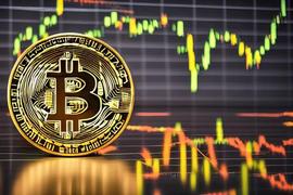 BTC:在比特币鲸鱼消失的情况下，这些 BTC 投资者似乎准备守住堡垒_ANT