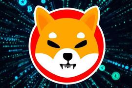 ETH:Shiba Inu：ETH 鲸鱼持有价值超过 5200 万美元的 SHIB_StarkMeta