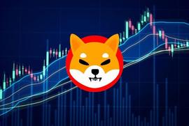 SHIB:这就是为什么 Shiba Inu Coin 在不久的将来会上涨 10%_SHIBAI