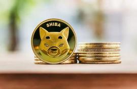 加密货币:Shiba Inu：SHIB 20% 的反弹是否有可能达到 0.00001 美元？_加密货币怎么赚钱的