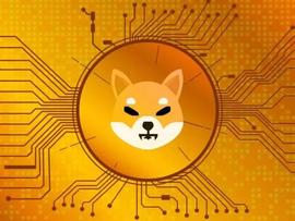 SHIBA:Shiba Inu：Shibarium 更新的提示使 SHIB 交易量飙升 28%_BARD币