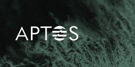 RAD:Paradigm工程师：Aptos当前「TPS低于比特币」_BAPTOS币
