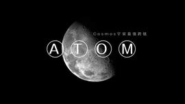 ATO:Cosmos 上的一个预言机平台观察到市值增长了 166%_Automated Income Machine