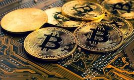 比特币:萨尔瓦多总统说“FTX 与比特币相反”_MEEB Vault (NFTX)