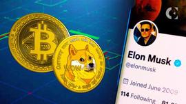 比特币:加密货币评论家称跟随马斯克投资 BTC 的人“愚蠢”_加密货币